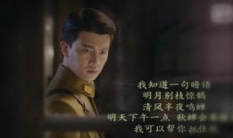 秋蝉在线观看,揭秘抗战岁月中的传奇英雄