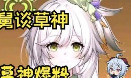 原神草神形象爆料视频,原神新角色神秘魅力全解析