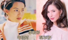 娱乐圈大爆料小说,揭秘明星背后的秘密与真相