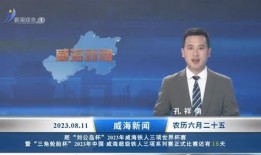 威海负面新闻爆料案件,揭露一起重大案件背后的真相