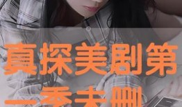 真探未删减在线观看,深度揭秘剧情背后的真相与悬念