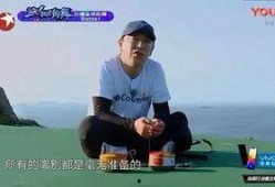 爆料娱乐圈文案句子,揭秘明星背后的故事