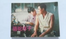 祥子手机在线观看,探寻现代都市生活的真实写照