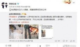 爆料桃源一中宿舍视频是真的吗,桃源一中宿舍视频真实性调查