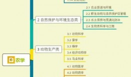 琳琅珍宝爆料视频大全集,揭秘幕后精彩瞬间