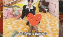 百万网红爆料视频大全集,揭秘网络红人幕后真相