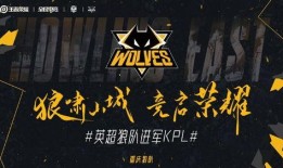 狼队的最新爆料,揭秘球队备战新赛季的神秘计划