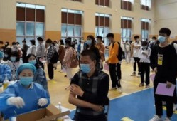 宝安媒体爆料最新消息新闻,重大新闻事件深度解析