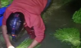网友爆料广东夫妇视频,揭秘真实生活背后的感人故事