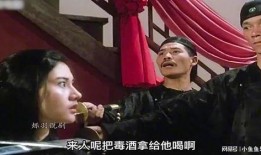 鹿鼎记1周星驰在线观看,周星驰版在线观影，笑料横生，江湖风云再起！