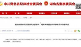 湖北最新爆料消息视频,揭秘神秘视频背后的惊人真相