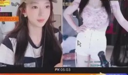 漫展女主播爆料事件视频,揭秘幕后真相与网络暴力