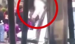 东坡爆料视频大全集在线观看,视频大全集在线观看，揭秘幕后真相