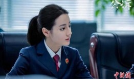 检察官的秘密在线观看,在线观看背后的真相与悬念