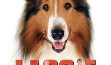 新灵犬莱西在线观看,忠诚守护，再续传奇