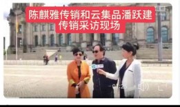 访谈视频怎么爆料,深度剖析爆料背后的真相
