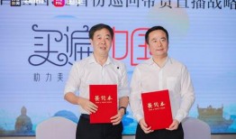 央视新闻洗脸巾爆料,揭秘“美丽”背后的真相