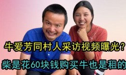 访谈视频怎么爆料,深度剖析爆料背后的真相