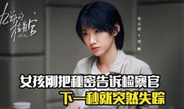 检察官的秘密在线观看,在线观看背后的真相与悬念